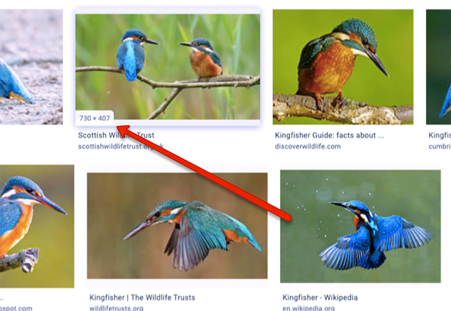 Image dimensions.