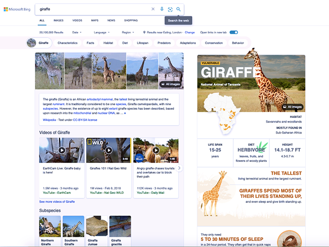 Microsoft Bing's new visual search features | Wordtracker