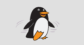 penguin google update
