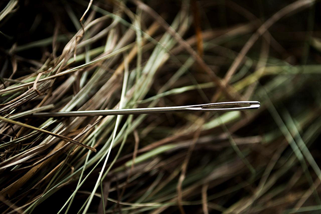 Needle in a haystack.