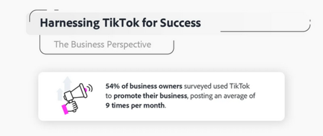 TikTok for business.